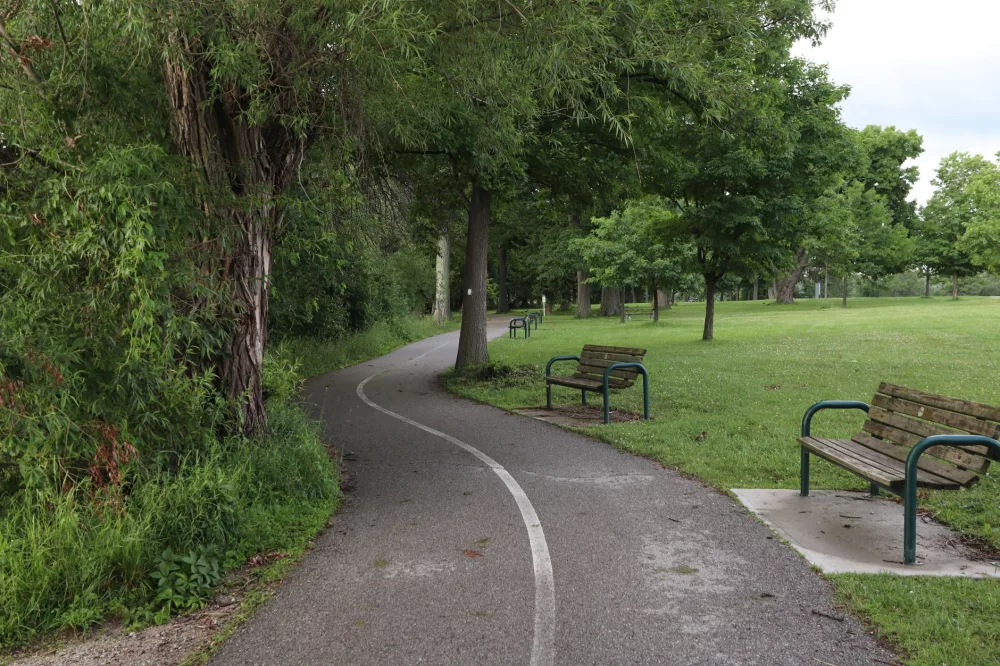 Discovering Your Urban Oasis: A Guide to Finding and Enjoying Parks Near You